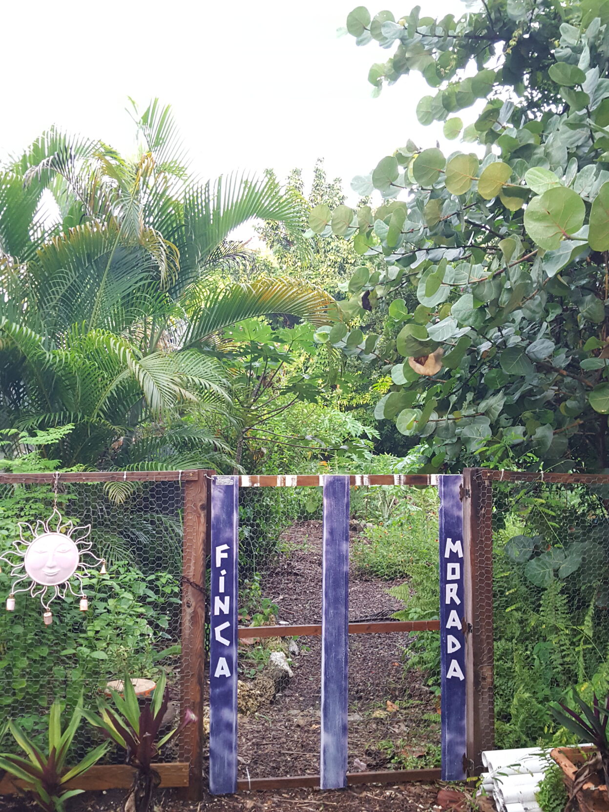 Finca for Josie 6.jpg